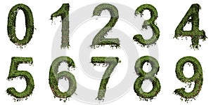 Ivy Numbers