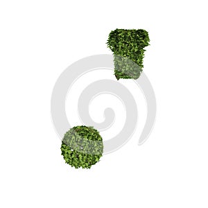 Ivy plant with leaves, green creeper bush and vines forming comma and dot sign symbol isolated on white in nature, growth and eco