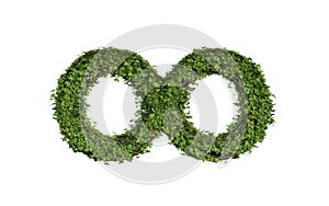 Ivy plant with leaves, green creeper bush and vines forming energy infinity sign symbol isolated on white in nature, growth and