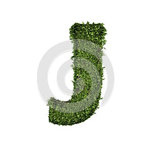 Ivy plant with leaves, green creeper bush and vines forming letter J, English alphabet text font character isolated on white in