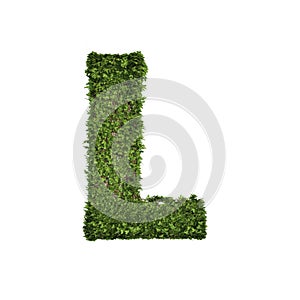 Ivy plant with leaves, green creeper bush and vines forming letter L, English alphabet text font character isolated on white in