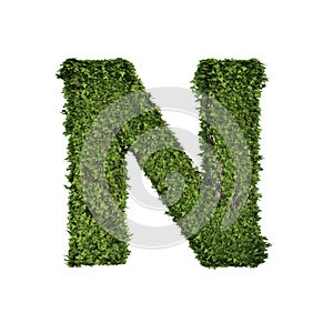 Ivy plant with leaves, green creeper bush and vines forming letter N, English alphabet text font character isolated on white in