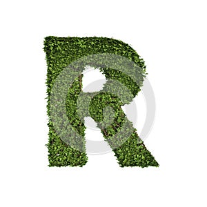 Ivy plant with leaves, green creeper bush and vines forming letter R, English alphabet text font character isolated on white in