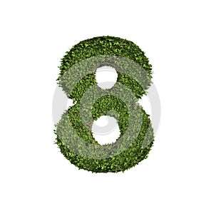 Ivy plant with leaves, green creeper bush and vines forming number eight, 8, alphabet text font character isolated on white in