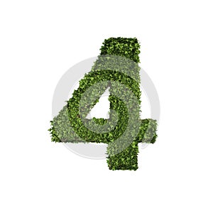 Ivy plant with leaves, green creeper bush and vines forming number four, 4, alphabet text font character isolated on white in