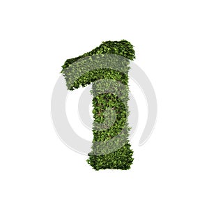 Ivy plant with leaves, green creeper bush and vines forming number one, 1, alphabet text font character isolated on white in