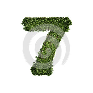 Ivy plant with leaves, green creeper bush and vines forming number seven, 7, alphabet text font character isolated on white in