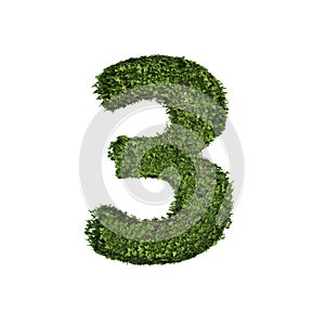 Ivy plant with leaves, green creeper bush and vines forming number three, 3, alphabet text font character isolated on white in
