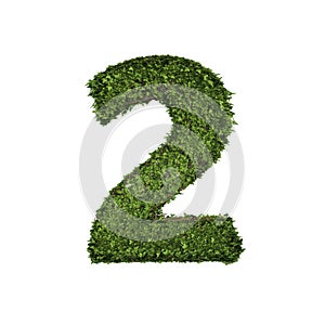 Ivy plant with leaves, green creeper bush and vines forming number two, 2, alphabet text font character isolated on white in