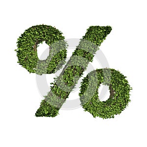 Ivy plant with leaves, green creeper bush and vines forming the percent sign symbol isolated on white in nature, growth and eco