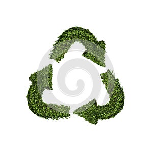 Ivy plant with leaves, green creeper bush and vines forming recycle with arrows sign symbol isolated on white in nature, growth