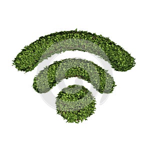 Ivy plant with leaves, green creeper bush and vines forming Wifi or wireless internet sign symbol isolated on white in nature,