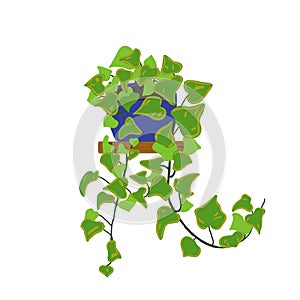 Ivy potted house plant with leaf variegation. photo