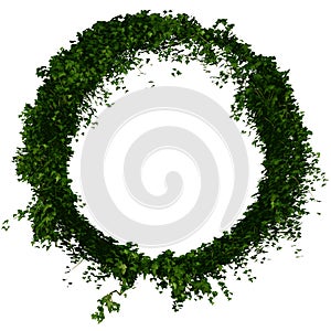 Ivy ring or circle foliage