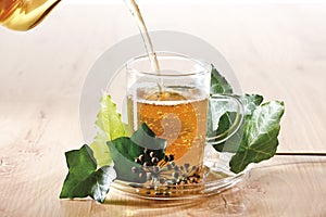 Ivy Tea (Hedera helix)