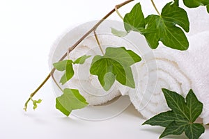 Ivy and towels