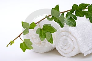 Ivy and towels
