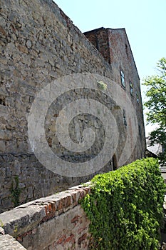 Ivy on wall of Buchlov castle