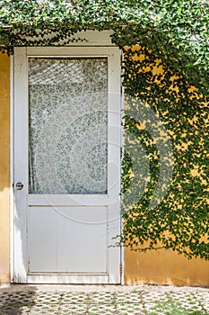 Ivy and white door with yellow wall