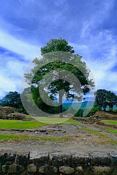 Iximche ancient mayan ruins photo