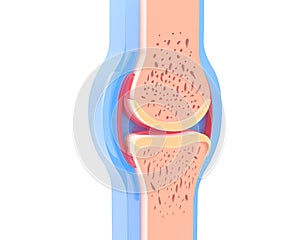 Ixometric 3d illustration of a human synovial joint.