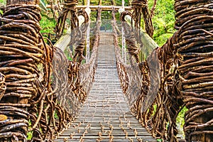 Iya Valley, Tokushima, Japan at the Kazurabashi Vine Bridge photo