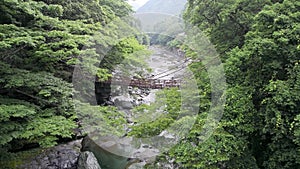 Iya vine bridge or Iya Kazura bridge. A suspension bridge made of the plant called Shirakuchikazura.