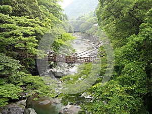 Iya vine bridge or Iya Kazura bridge. A suspension bridge made of the plant called Shirakuchikazura.