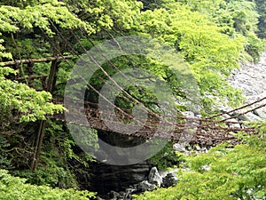 Iya vine bridge or Iya Kazura bridge. A suspension bridge made of the plant called Shirakuchikazura.