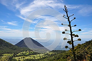 Izalco Volcano from Cerro Verde National Park, El Salvador photo