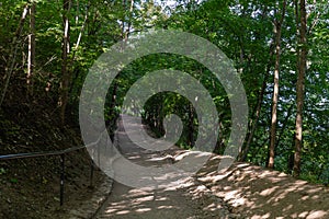 Izborsk, Russia, September 7, 2023. Shady alley leading to the lake.