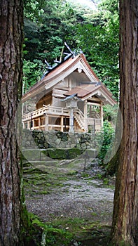 Izumo taisha new shrine