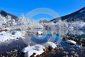 Izvir Save Dolinke at Zelenci near Kranjska Gora