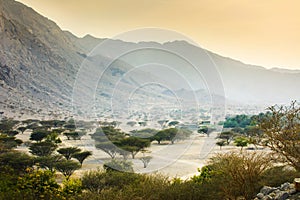 Jabal Jais mountain and desert landscape near Ras al Khaimah