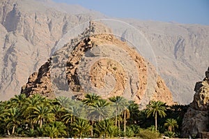 Jabal Misht mountain from diffrent view & date palms farm