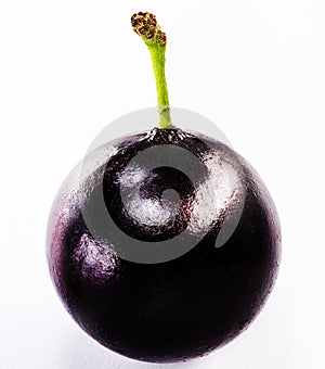 The jabuticaba or jabuticaba is a purplish black-white fruit, typical fruit of Brazil, on isolated white background