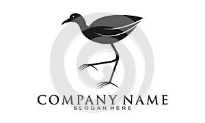 Jacana bird illustration vector logo