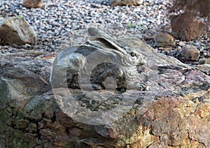 `Jack of All Trades` by Jim Eppler, public art in Les Lacs Park in Addison, Texas.