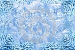 Jack frost ice crystal patterns & snowy spruce photo