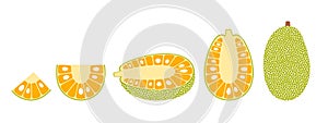 Jack fruit logo. Isolated jack fruit on white background