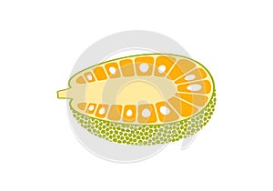 Jack fruit logo. Isolated jack fruit on white background