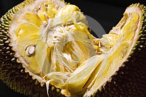 Jack fruit