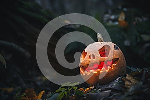Jack O Lantern, with an evil face. Carved pumpkin for Halloween on fallen tree in night woods. Mysterious misty