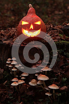 Jack O\'lantern lit on a tree stump