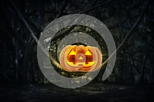 Jack O Lantern pumpkin on trunk tree in mystic forest at night,