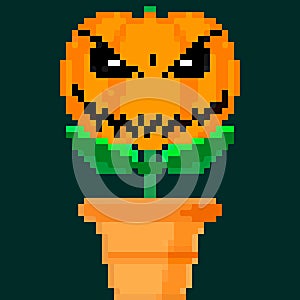 Jack olantern Halloween flower. Have a scary Halloween Conceived something