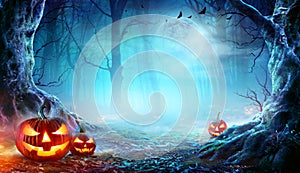 Jack Oâ€™ Lanterns In Spooky Forest At Moonlight