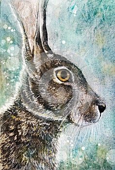 Jack rabbit in meadow charcoal art