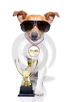 Winner trophy dog photo