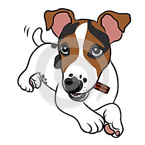 Jack Russell puppy dog eating snack cartoon  illustration